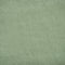 DSS04: Light Green
