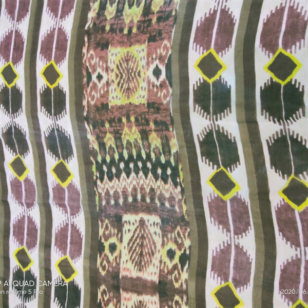 Border Print On Silk Chiffon SCPS124