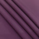 BS27: Plum