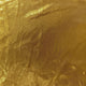 SCR02