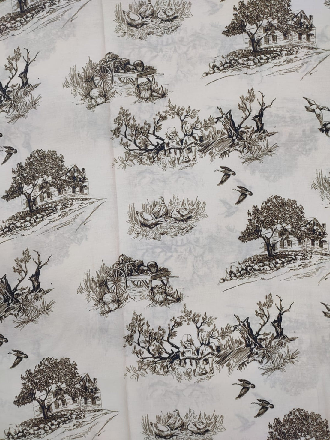 Sushi Voile Print Fabric SVPF049