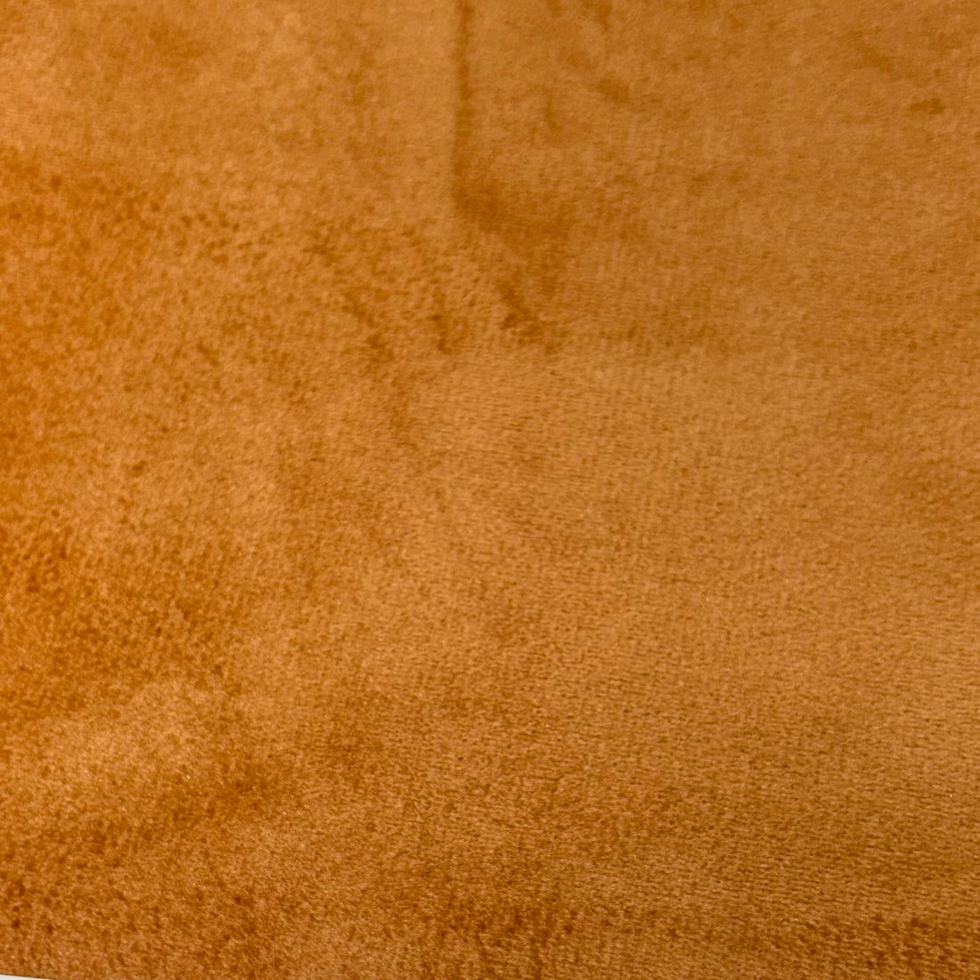 Holland Velvet