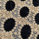VC01:BROWNBLACK