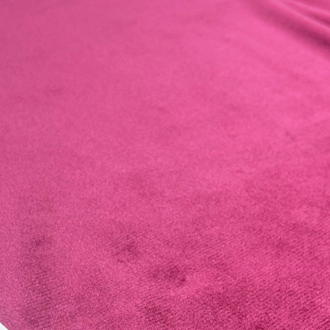 Holland Velvet