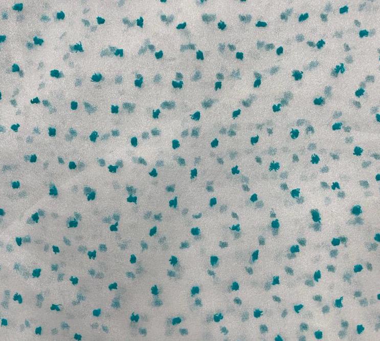 Madonna Organza (Two Tone)(Sky Blue on White 7)