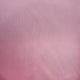 Mikado09:Pink