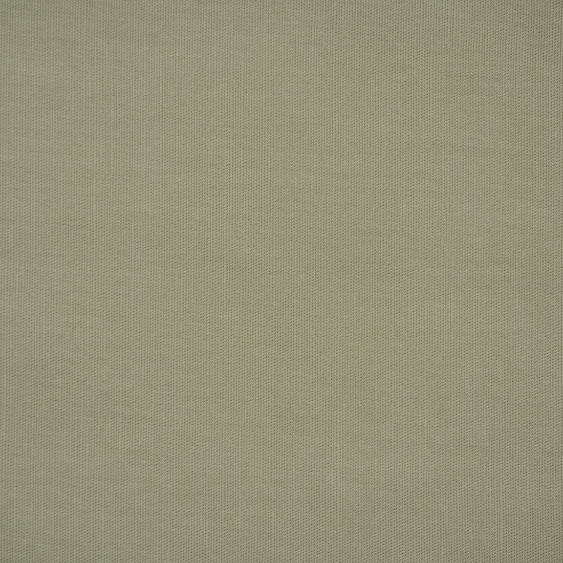 Mayfair Natural Fabric
