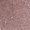 PS06: Blush Pink