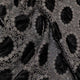 VC02:ALLBLACK