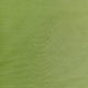 DGT30: Lime Sage