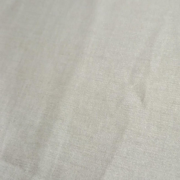 Banarasi Silk (Shimmer)