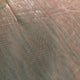 DP4