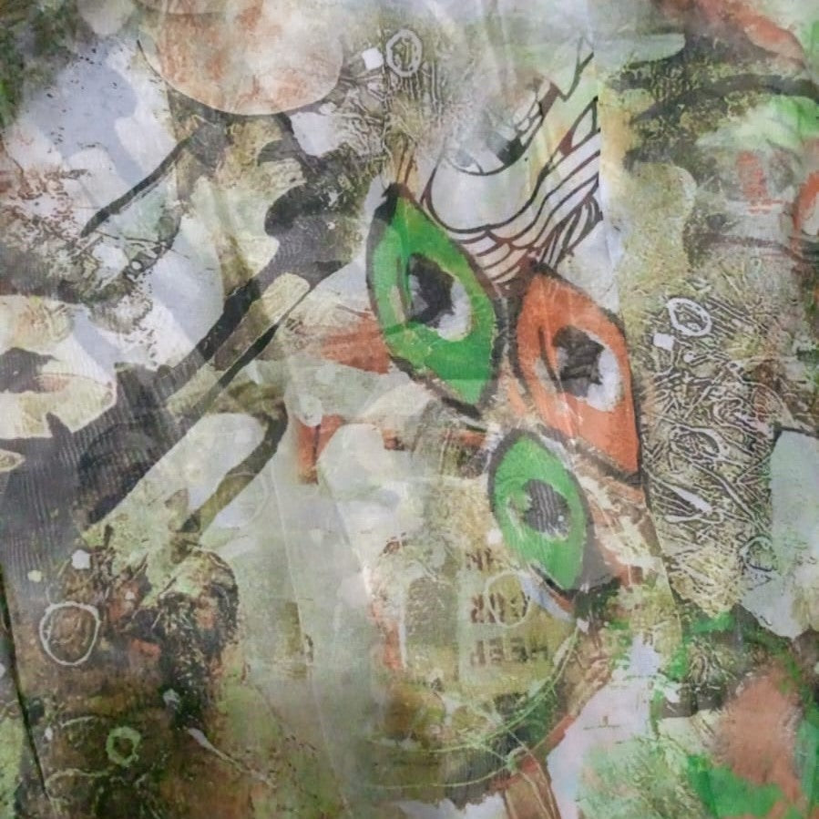 Eye Print On Flat Chiffon FCPS08