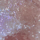 BCS10:R.Gold+Transparent