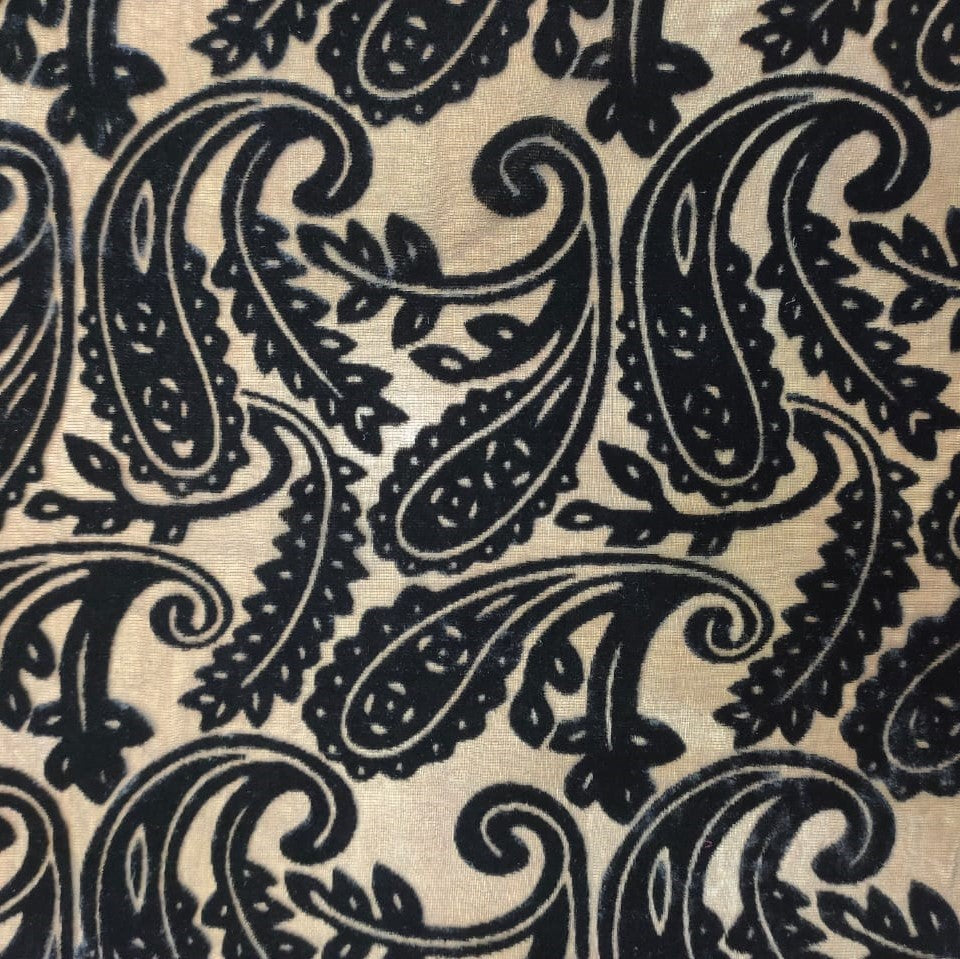 Black Poly Viscose Velvet Brasso #02