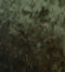HammerVelvet21: Antique Moss