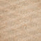 OstrichFeather04: Blush Beige