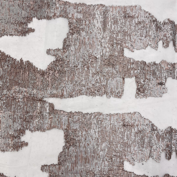 Indian Organza Jacquard