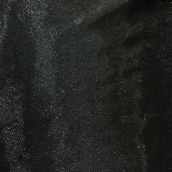 Metallic Organza Dyed Fabric