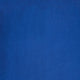 HS :21 Royal Blue