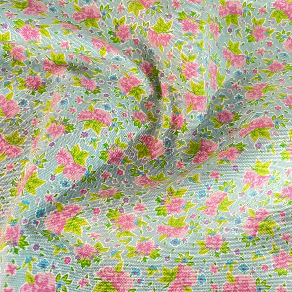 Cotton Canvas Fabric OSCP393