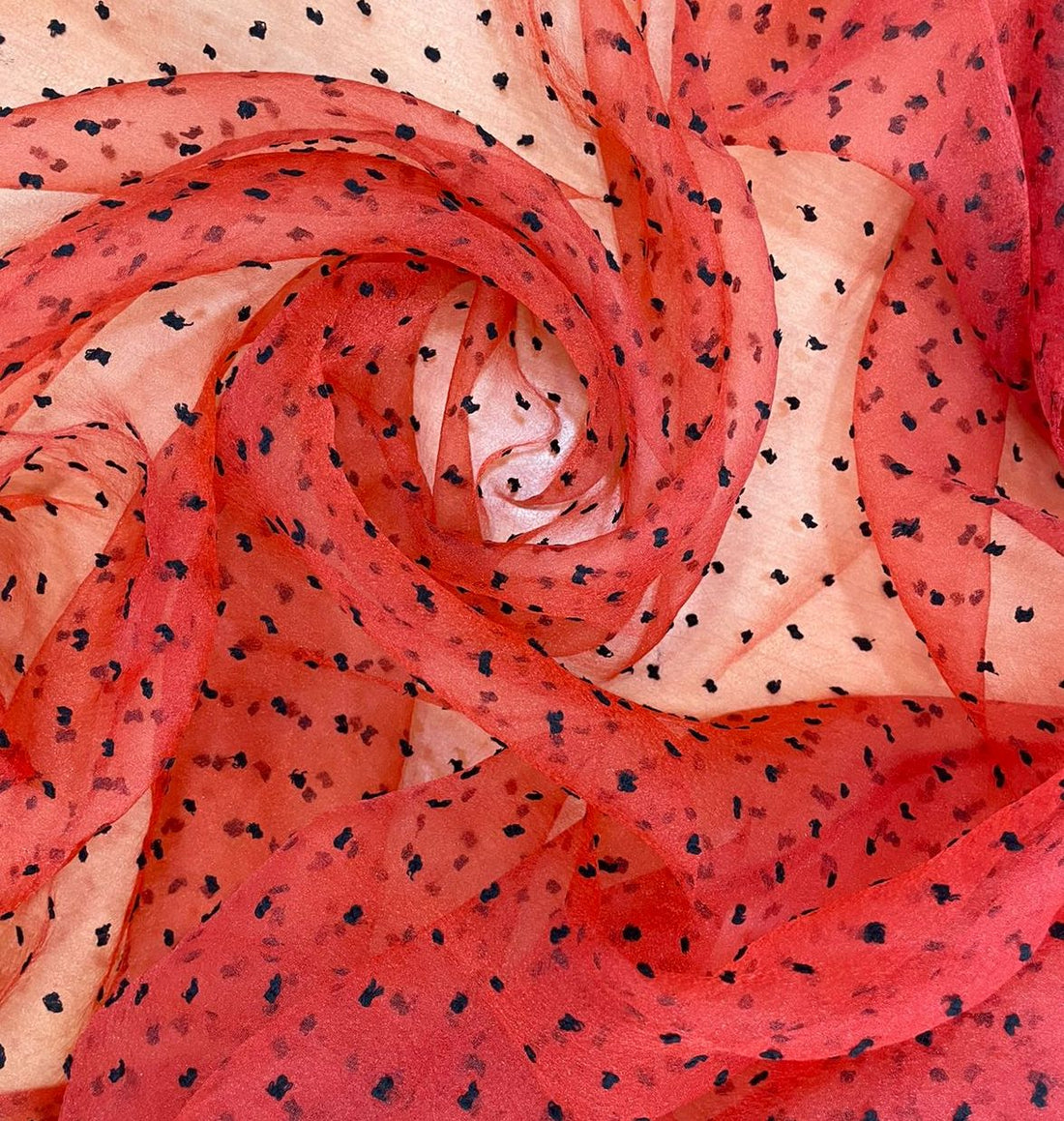 Madonna Organza (Two tone)(Black on Red 21)
