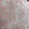 Organza Jac: Peach