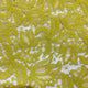 Lace: Lime