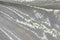 ML08: Holographic Silver