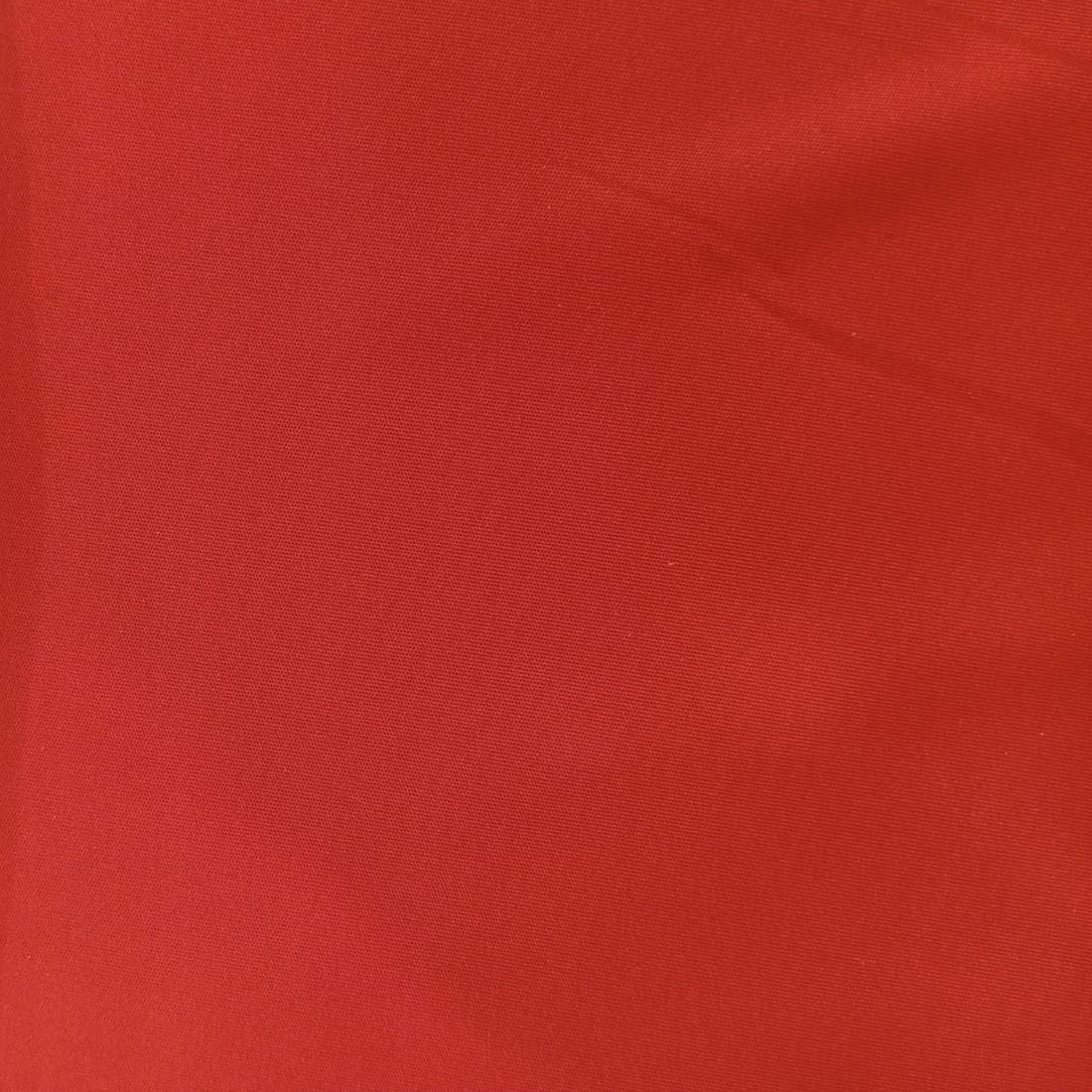 Polo Knit
