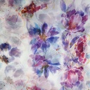 Organza Print #202219