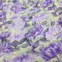 Organza Print #202245