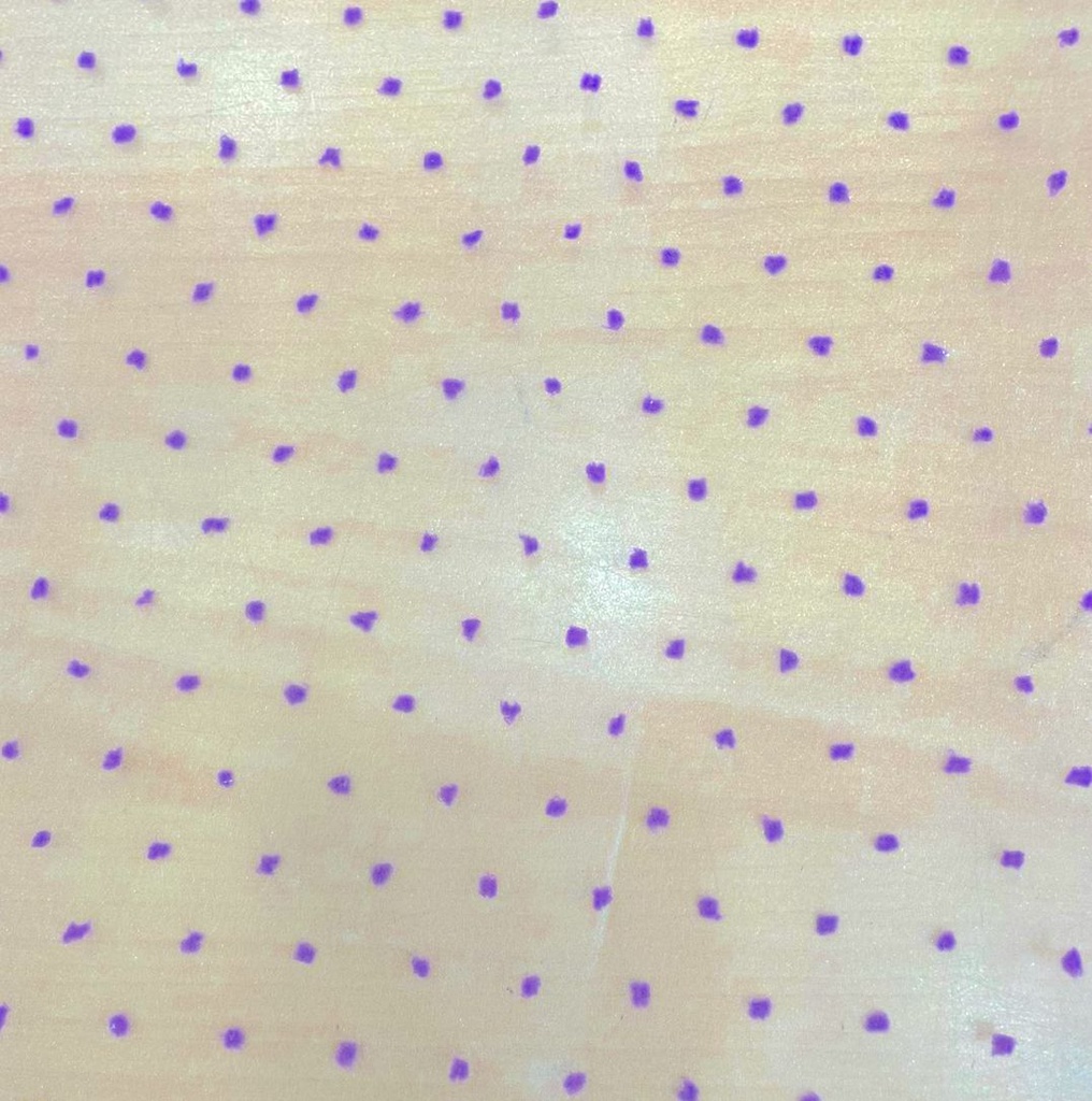 Madonna Organza Dyed Fabric (Two Tone)(Lavender on White 4)