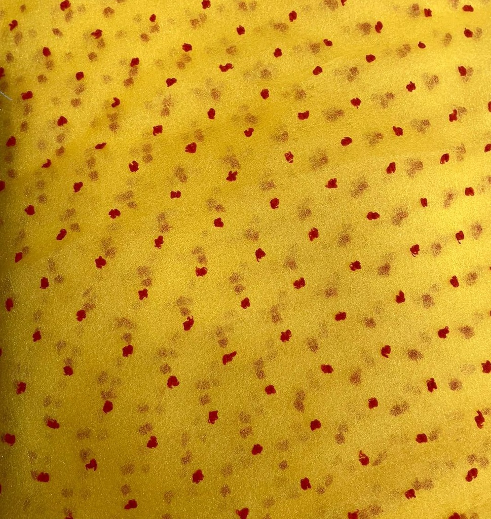 Madonna Organza Dyed Fabric (Two tone)(Red on Yellow 22)