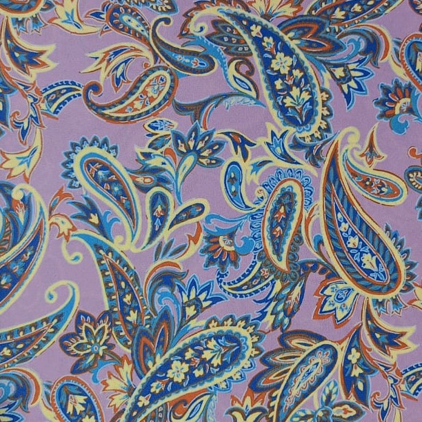 Voilet Base Paisley Print On Royal Georgette SS22N RGPB15