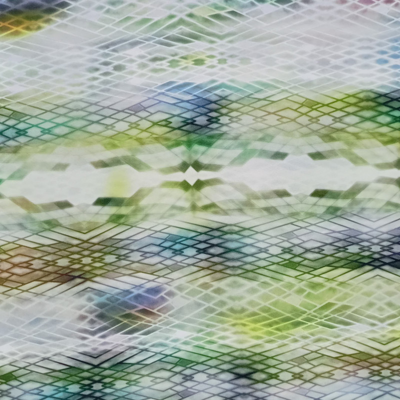 Multi Colour Snake Skin Print On Royal Georgette SS2N RGPB73
