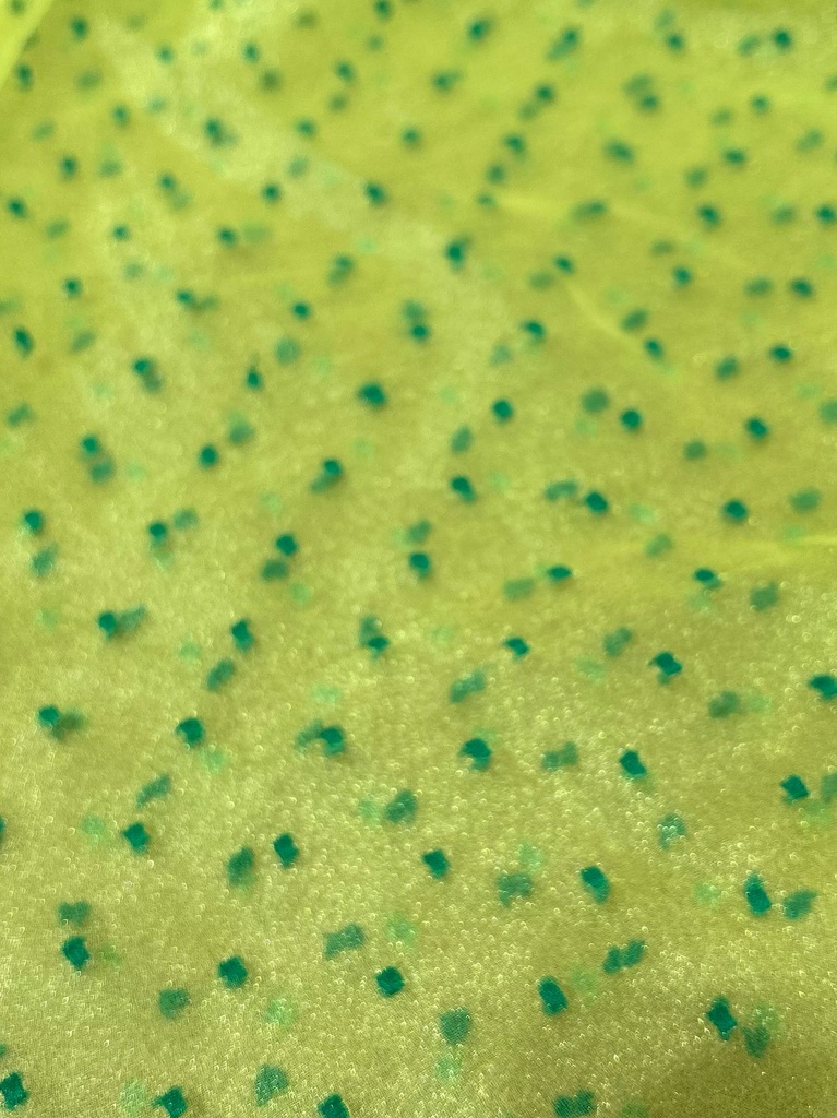 Madonna Organza Dyed Fabric (Two Tone)(Green on Yellow10)