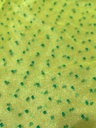 Madonna Organza Dyed Fabric (Two Tone)(Green on Yellow10)