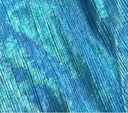 Merlin Dyed Fabric