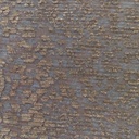 Leopard Print On Platinoir Foil Dyed Fabric
