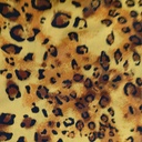 Chrome Satin Pezli With leopard skin Print Fabric SS22N-CSPB05