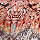 Coffee Print On Habutai Satin S24 HSPS25