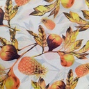White Base Pineapple Print On Habutai Satin S24 HSPS93