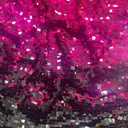Ombre Dibbi Sequins (Pink Black)