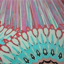 Toto Print (Pink) On Mango Crepe Fabric