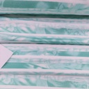 Pictorial Stripes(Aqua) Print Mango Crepe Fabric