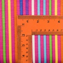Stripes(Rainbow) Print On Viscose Knitted Fabric