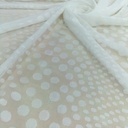 Clip Jacquard Dyed Fabric