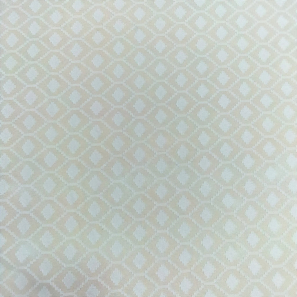Clip Jacquard Dyed Fabric