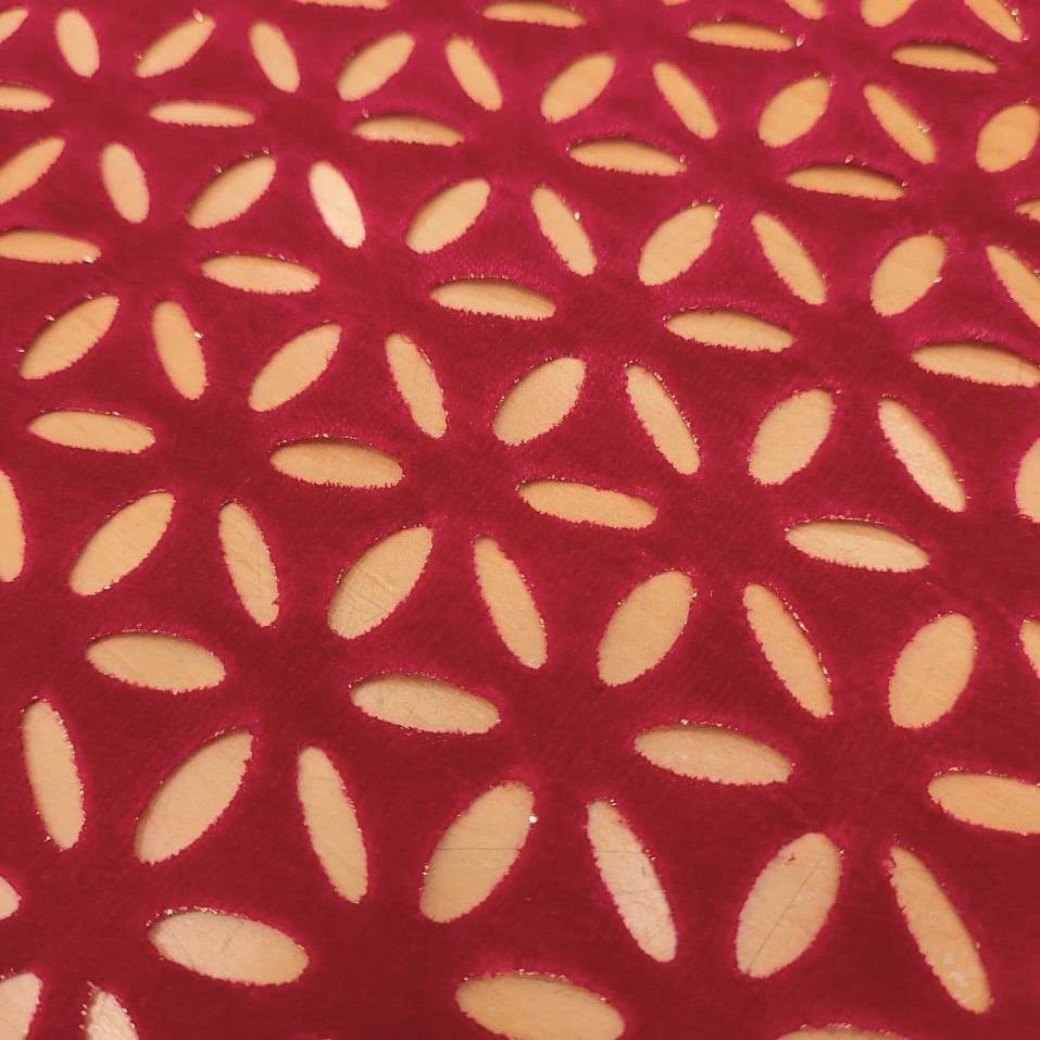 Cutwork Velvet Fabric#05
